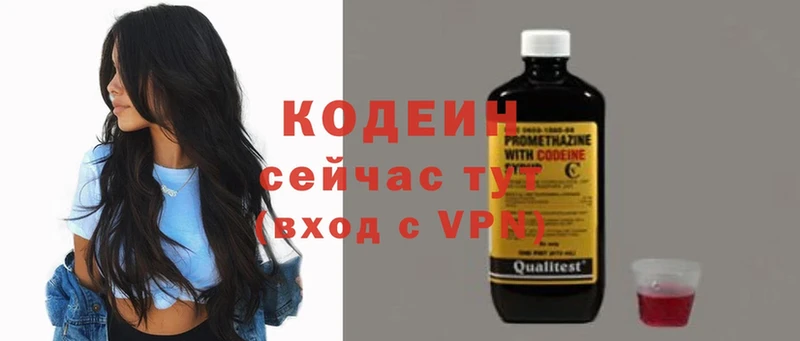 купить закладку  Нестеровская  Кодеиновый сироп Lean напиток Lean (лин) 